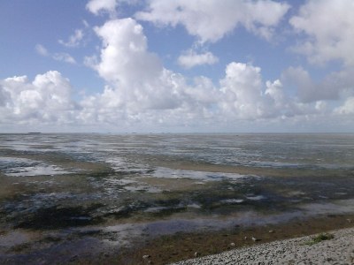 Holiday apartment Gröde in Haus Halligblick - Environment photo 16