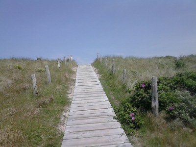 Holiday apartment Lagoon on the Wadden See on Wangerooge - Environment photo 15