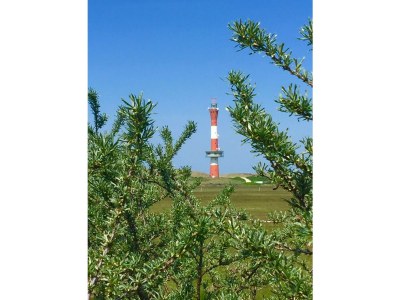 Holiday apartment Lagoon on the Wadden See on Wangerooge - Environment photo 16