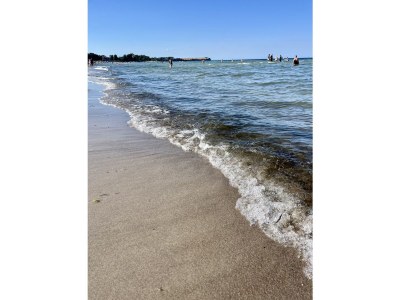 Holiday apartment OG left Rosenweg - Environment photo 23