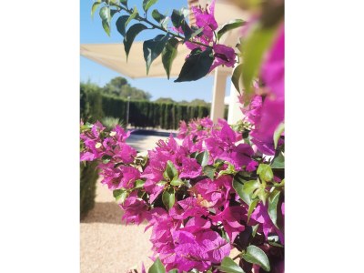 Villa Summer - Outdoor photo 16