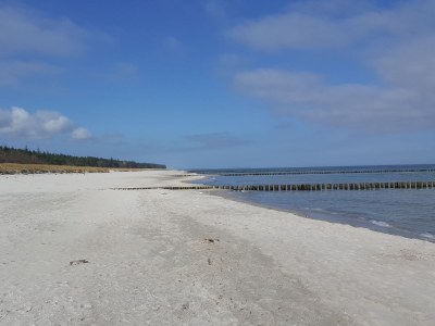 Holiday house Gänsehus - Environment photo 15