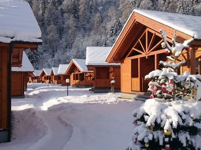 Chalet 1 in Feriendorf Oberreit - Outdoor photo 7