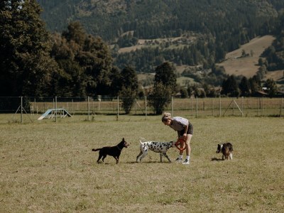 Chalet 1 in Feriendorf Oberreit - Environment photo 18