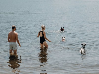 Chalet 1 in Feriendorf Oberreit - Environment photo 19