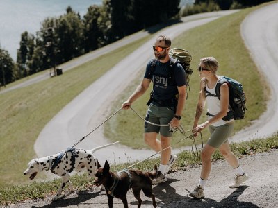 Chalet 1 in Feriendorf Oberreit - Environment photo 20