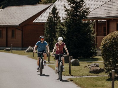 Chalet 1 in Feriendorf Oberreit - Environment photo 22