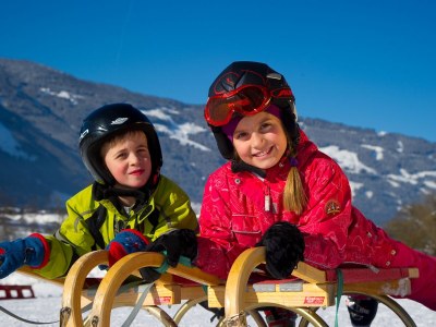 Chalet 1 in Feriendorf Oberreit - Environment photo 26