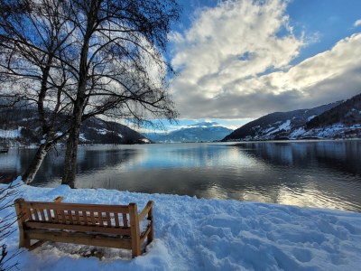 Chalet 1 in Feriendorf Oberreit - Environment photo 29