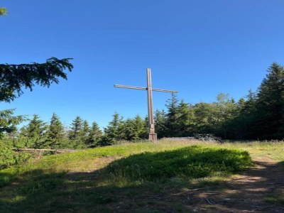 Apartment Olsberg Apartment in der Nähe von Skipisten - Environment photo 17