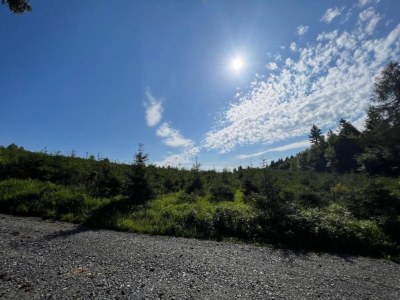 Apartment Olsberg Apartment in der Nähe von Skipisten - Environment photo 18