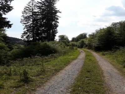 Apartment Olsberg Apartment in der Nähe von Skipisten - Environment photo 31