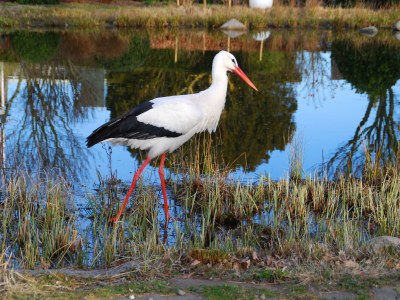 Holiday apartment Strandläufer - Environment photo 18