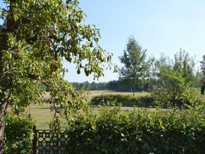 Holiday house Landvilla mit Spielen - Outdoor photo 6