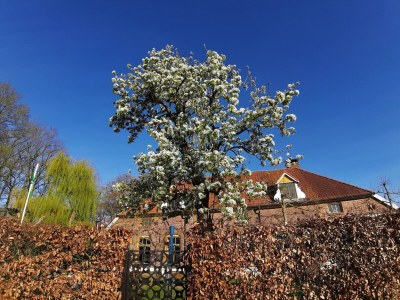 Holiday house Landvilla mit Spielen - Outdoor photo 7