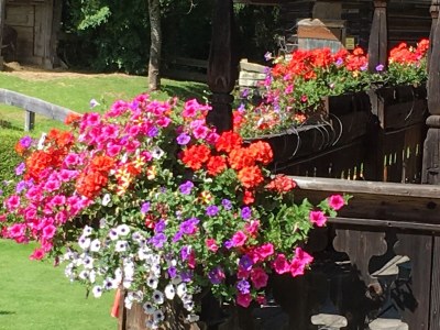 Alpine hut Rahmhof - Outdoor photo 6