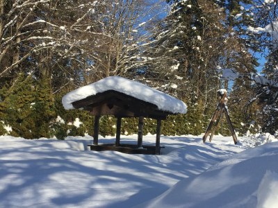 Alpine hut Rahmhof - Outdoor photo 7