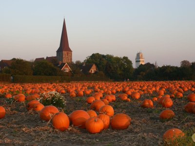 Holiday apartment 4 mit Balkon, strandnah - Environment photo 17