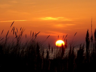 Holiday apartment 4 mit Balkon, strandnah - Environment photo 19