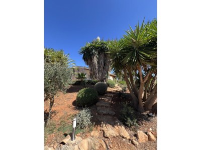 Finca My Life - Outdoor photo 6