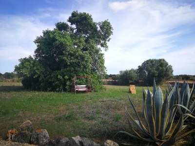 Finca My Life - Environment photo 31