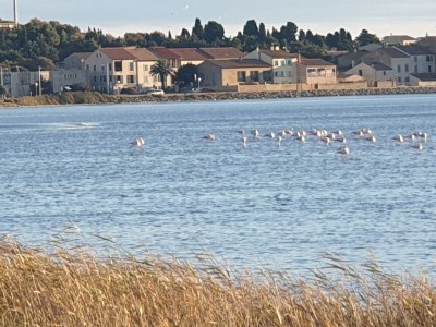 Holiday house Bella - Environment photo 25