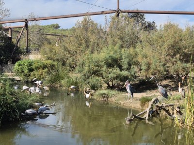 Holiday house Bella - Environment photo 27