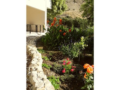 Holiday apartment Villa Dianthe  Nr 3 - Outdoor photo 9