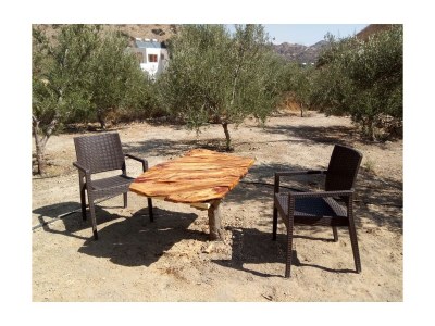 Holiday apartment Villa Dianthe  Nr 3 - Outdoor photo 10