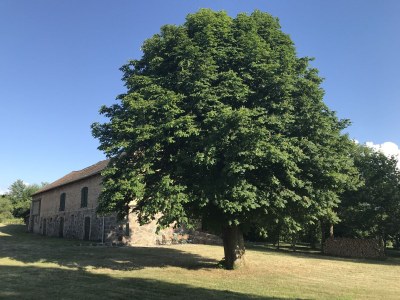 Holiday house At the Old Lübberstorf Manor - Outdoor photo 9
