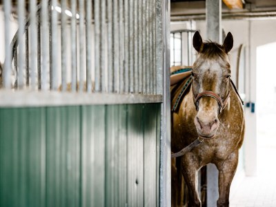 Holiday house At the Old Lübberstorf Manor - Outdoor photo 13