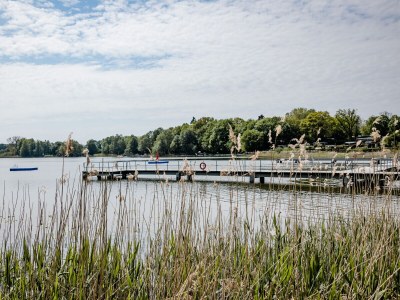 Holiday house At the Old Lübberstorf Manor - Environment photo 28