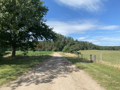 Holiday house At the Old Lübberstorf Manor - Environment photo 33