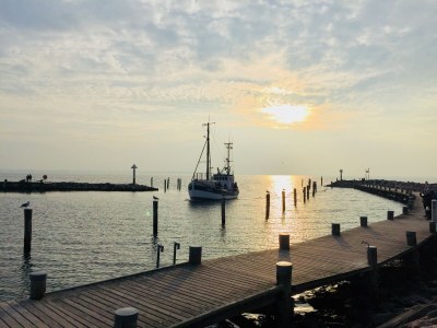 Holiday house At the Old Lübberstorf Manor - Environment photo 37