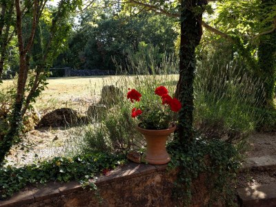 Holiday house Casa Bistini - Rocca Prataia - Outdoor photo 6
