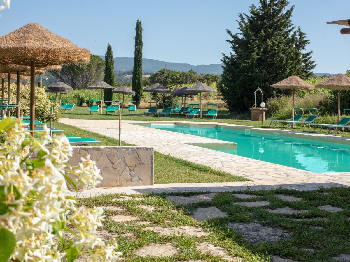 Cottage Lovely Cottage + Pool + near beach - Outdoor photo 4