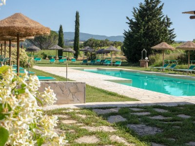 Cottage Lovely Cottage + Pool + near beach - Outdoor photo 4