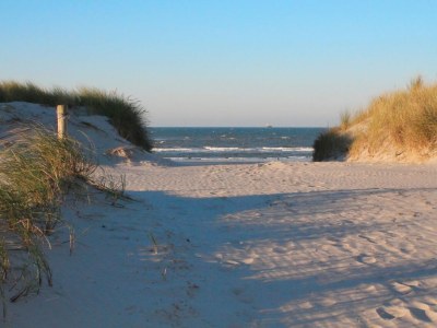 Villa - No title - - Environment photo 13