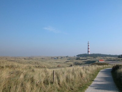 Villa - No title - - Environment photo 14