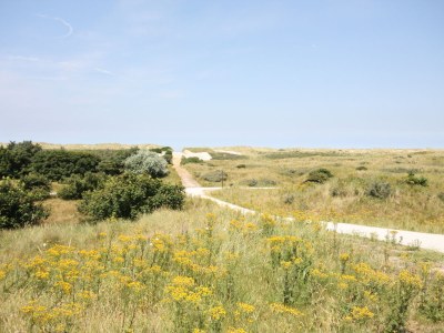 Villa - No title - - Environment photo 15