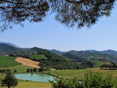 Holiday house Villa Pace - Outdoor photo 11