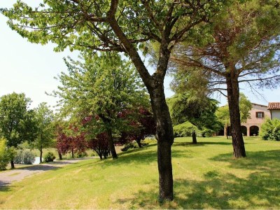 Holiday house Villa Pace - Outdoor photo 13