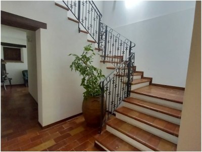 Holiday house Villa Pace - Features photo 25