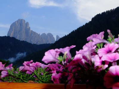 Holiday apartment Residence Brunello - Environment photo 17