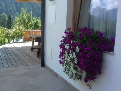Holiday apartment Residence Brunello - Environment photo 18