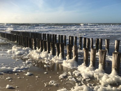 Apartment SE03 Chalet Olmenduin - Environment photo 16