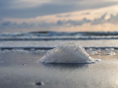 Apartment SE03 Chalet Olmenduin - Environment photo 17