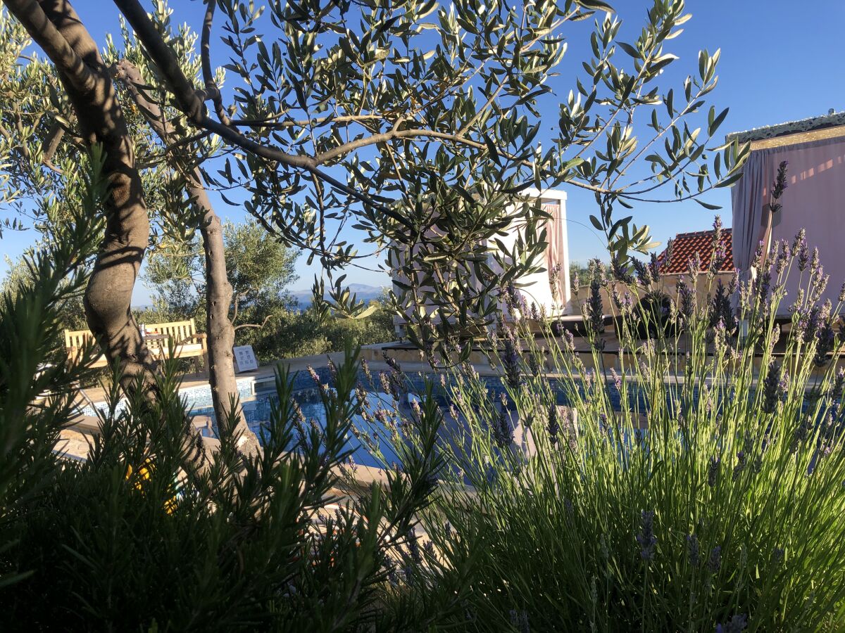 Holiday house KuÄ - Outdoor photo 3