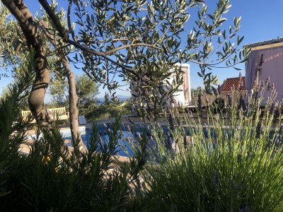 Holiday house KuÄ - Outdoor photo 3