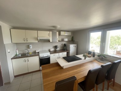 Holiday house KuÄ - Outdoor photo 14